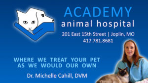 academy animal hospital joplin missouri michele cahill