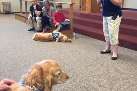 Heidi Comfort Dog presentation