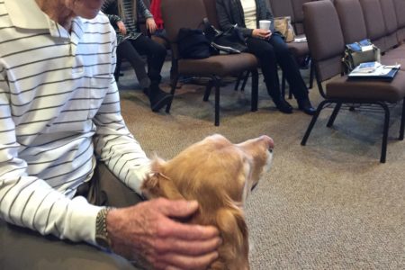 Comfort Dog presentation