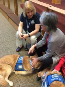 comfort dogs immanuel lutheran church joplin missouri