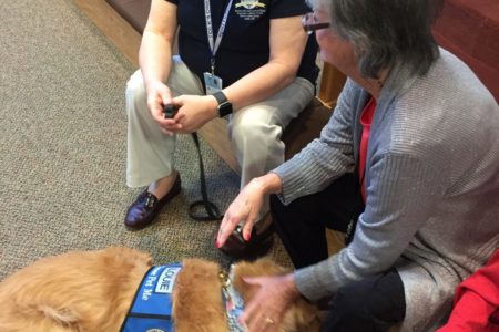 comfort dogs immanuel lutheran church joplin missouri