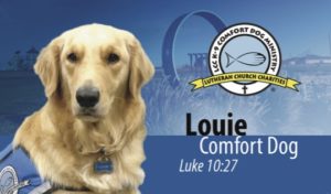 Louie Comfort Dog business card