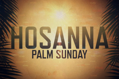 Palm Sunday 2018 4