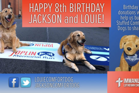 louie comfort dog jackson comfort dog immanuel lutheran church martin luther school joplin missouri 8th birthday