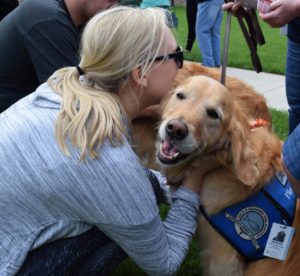 jackson comfort dog being hugged by woman