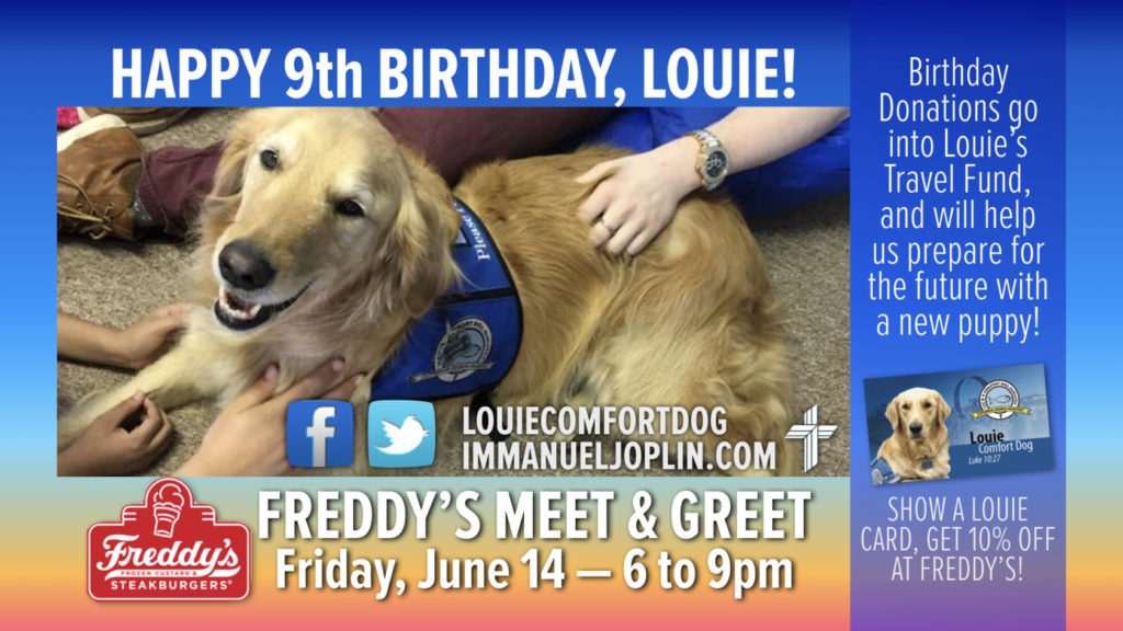 happy birthday louie comfort dog