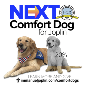 NEXT Comfort Dog Campaign 1 Louie Comfort Dog laying next to a smiling Golden Retriever puppy. next comfort dog for joplin. learn more and give at immanueljoplin.com/comfortdogs