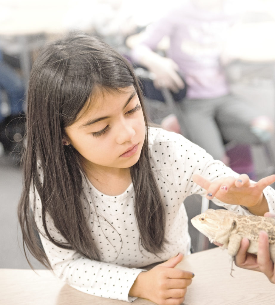 national lutheran schools week. little girl petting a lizard. science classroom. 2020.