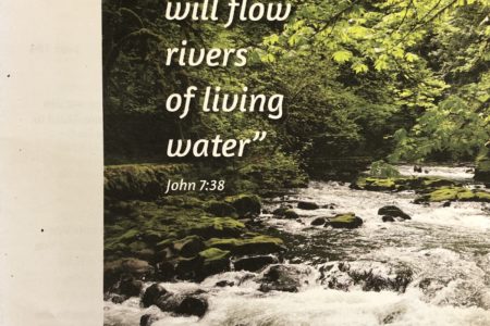 the day of pentecost bulletin cover. Immanuel Lutheran Church LCMS. Joplin, Missouri. Out of his heart will flow rivers of living water. John 7 38