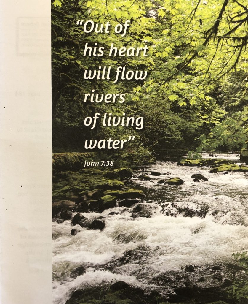 the day of pentecost bulletin cover. Immanuel Lutheran Church LCMS. Joplin, Missouri. Out of his heart will flow rivers of living water. John 7 38