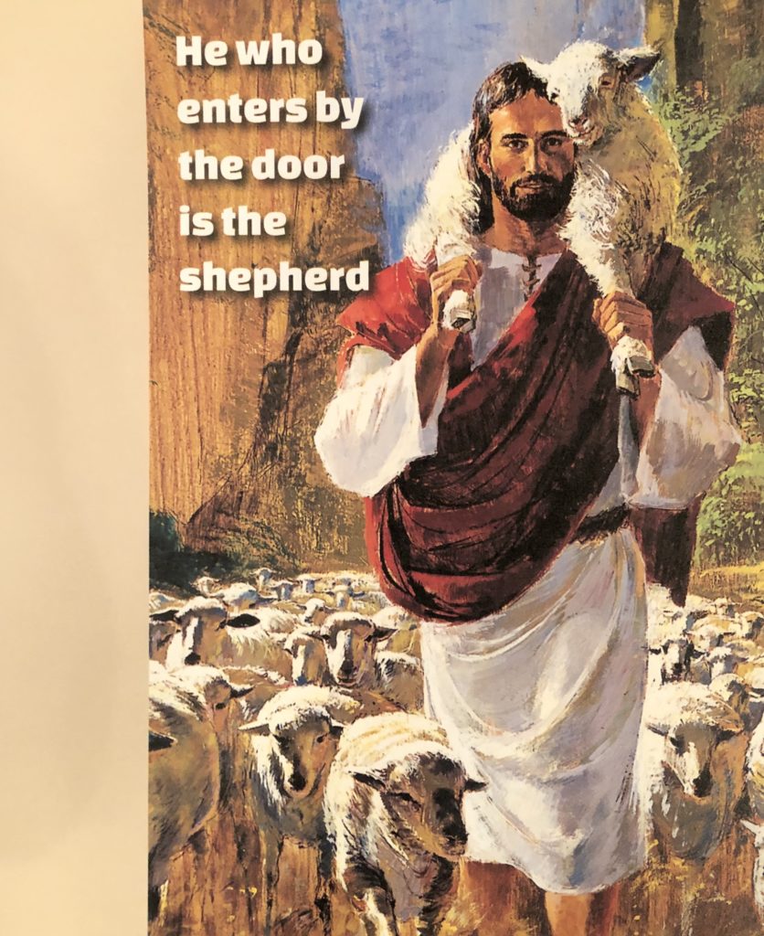 Jesus, Our Good Shepherd. Sought for Salvation and for Service. Sermon by Rev. Gregory Mech. Immanuel Lutheran Church LCMS. Joplin, Missouri.