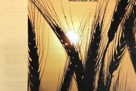 Second Week after Pentecost bulletin cover. Immanuel Lutheran Church LCMS. Joplin, Missouri. Pray earnestly to the Lord of the harvest to send out laborers. Matthew 9:38.