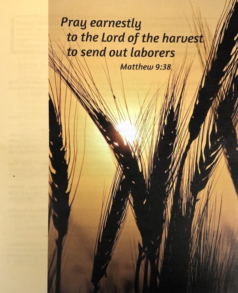 Second Week after Pentecost bulletin cover. Immanuel Lutheran Church LCMS. Joplin, Missouri. Pray earnestly to the Lord of the harvest to send out laborers. Matthew 9:38.