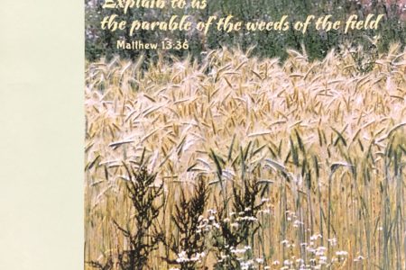Explain to us the parable of the weeds of the field. Matthew 13 36. Seventh Sunday after Pentecost. Immanuel Lutheran Church LCMS. Joplin, Missouri. bulletin cover.
