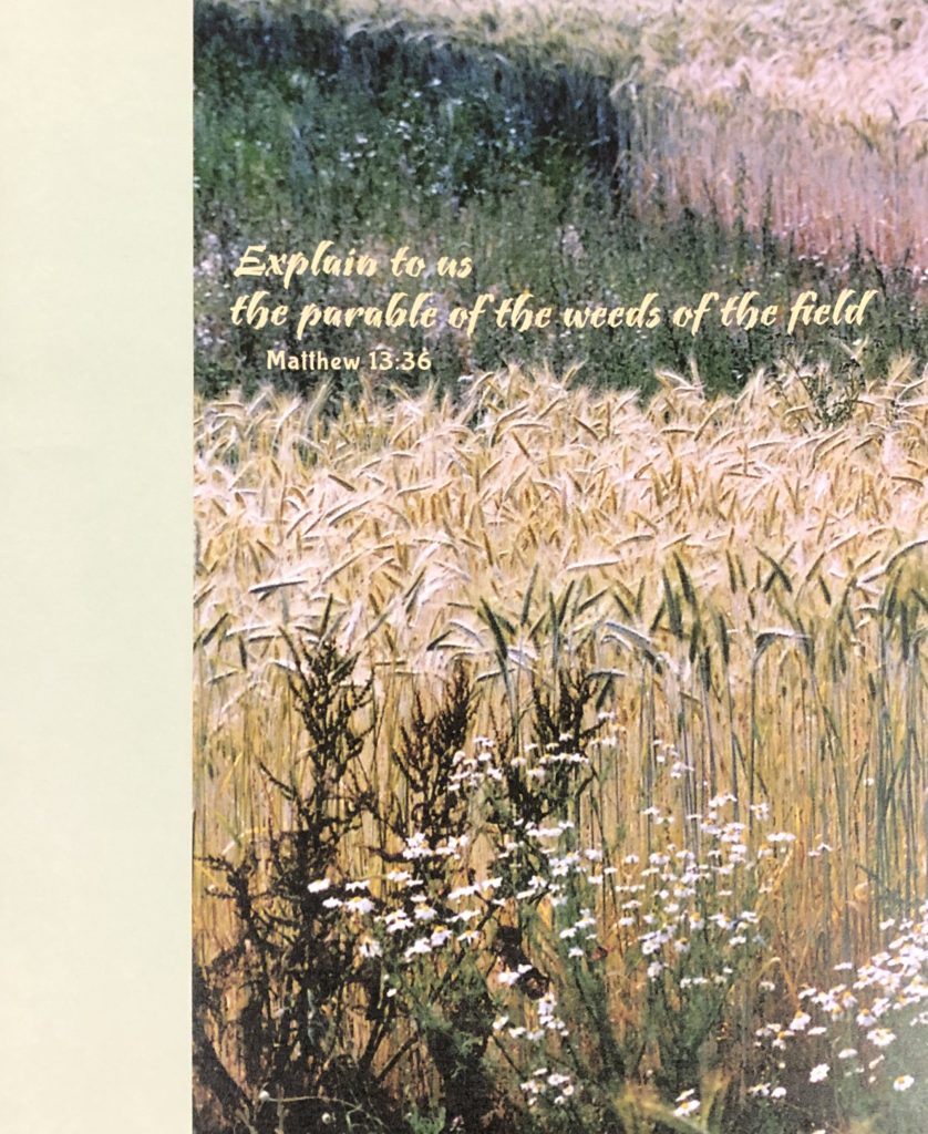 Explain to us the parable of the weeds of the field. Matthew 13 36. Seventh Sunday after Pentecost. Immanuel Lutheran Church LCMS. Joplin, Missouri. bulletin cover.