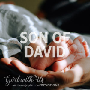 Son of David. God With Us December 21 Advent Devotion. Immanuel Lutheran Church LCMS. Joplin Missouri.