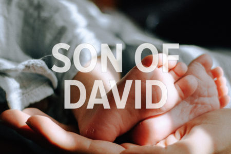 Son of David. God With Us December 21 Advent Devotion. Immanuel Lutheran Church LCMS. Joplin Missouri.