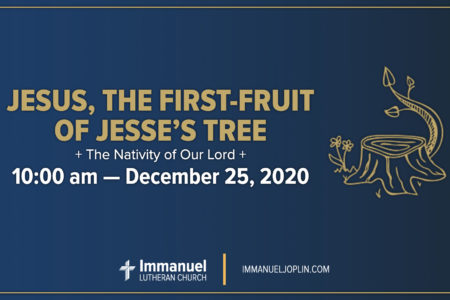 Jesus the First-Fruit of Jesse's Tree. Christmas Day 2020. Immanuel Lutheran Church LCMS. Joplin Missouri.