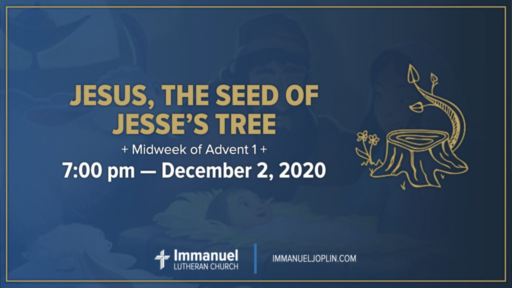 Midweek of Advent 1. Jesus, the Seed of Jesse's Tree. Immanuel Lutheran Church LCMS. Joplin Missouri.